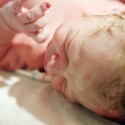 birthphotography004