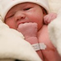 newborn011
