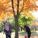 family003