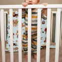 Ezra's 1 Year Old Portraits