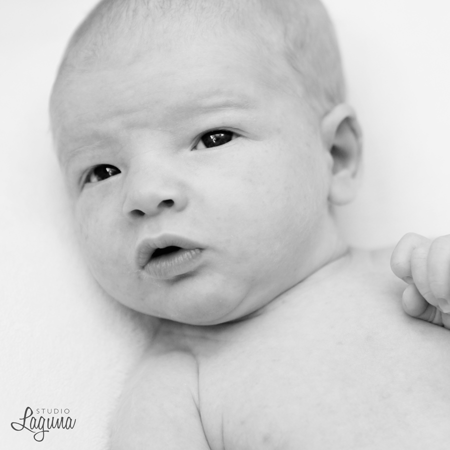 Studio Laguna Photography babies and little ones 