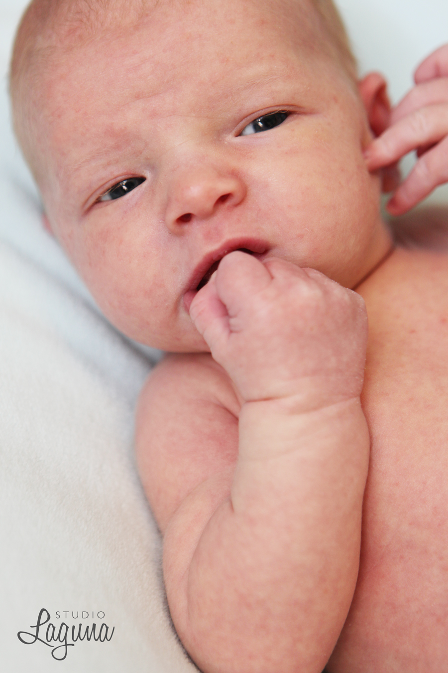 Studio Laguna Photography babies and little ones 