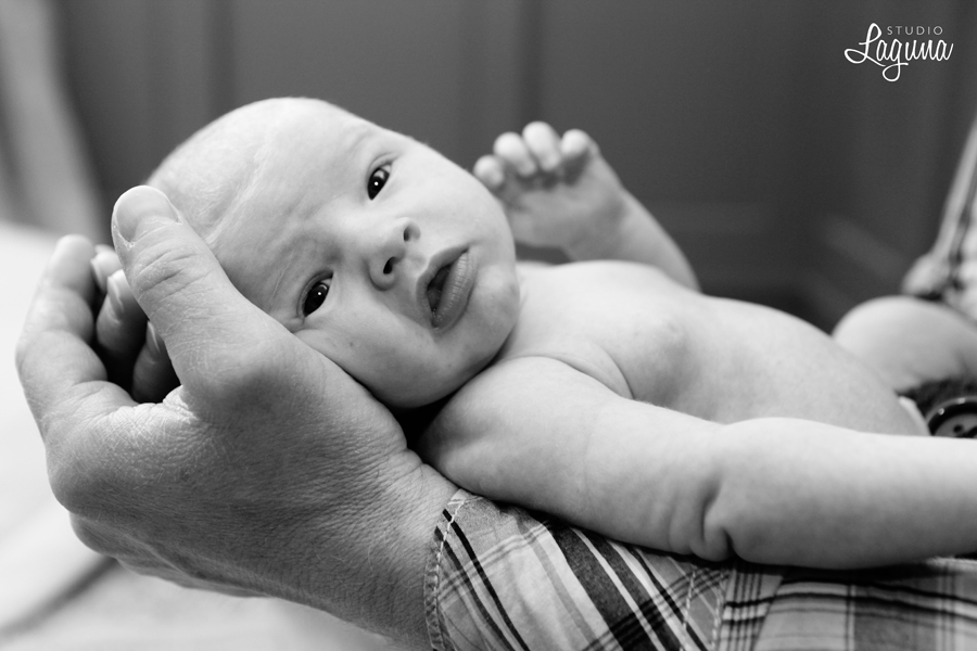 Studio Laguna Photography babies and little ones 